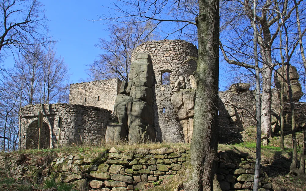 Castle Bolczów