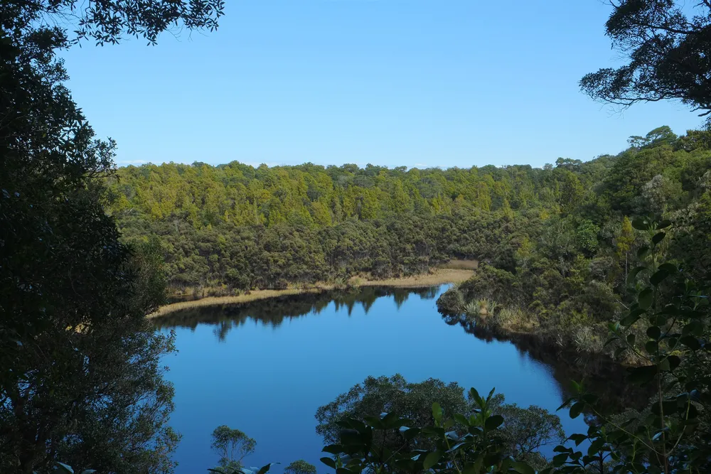 Lake Wilkie