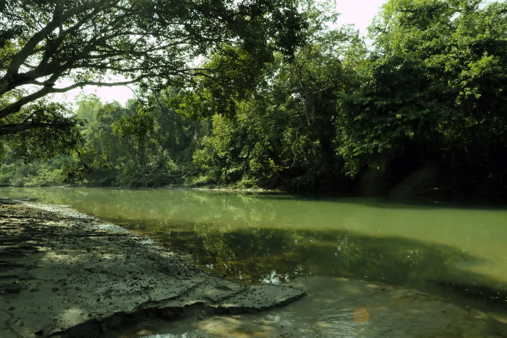 Bardiya National Park