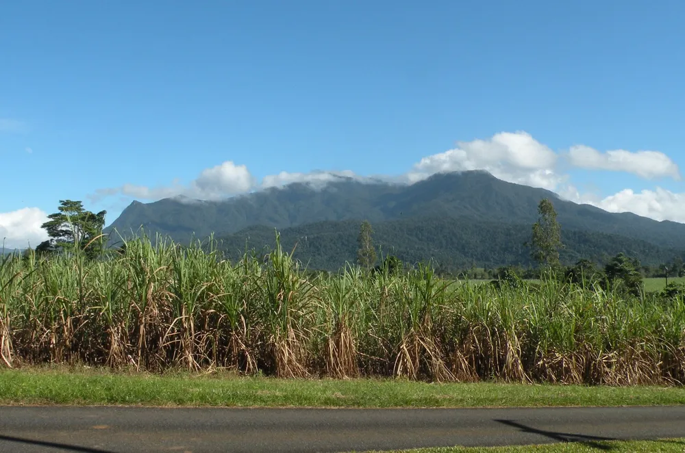 Mount Bartle Frere