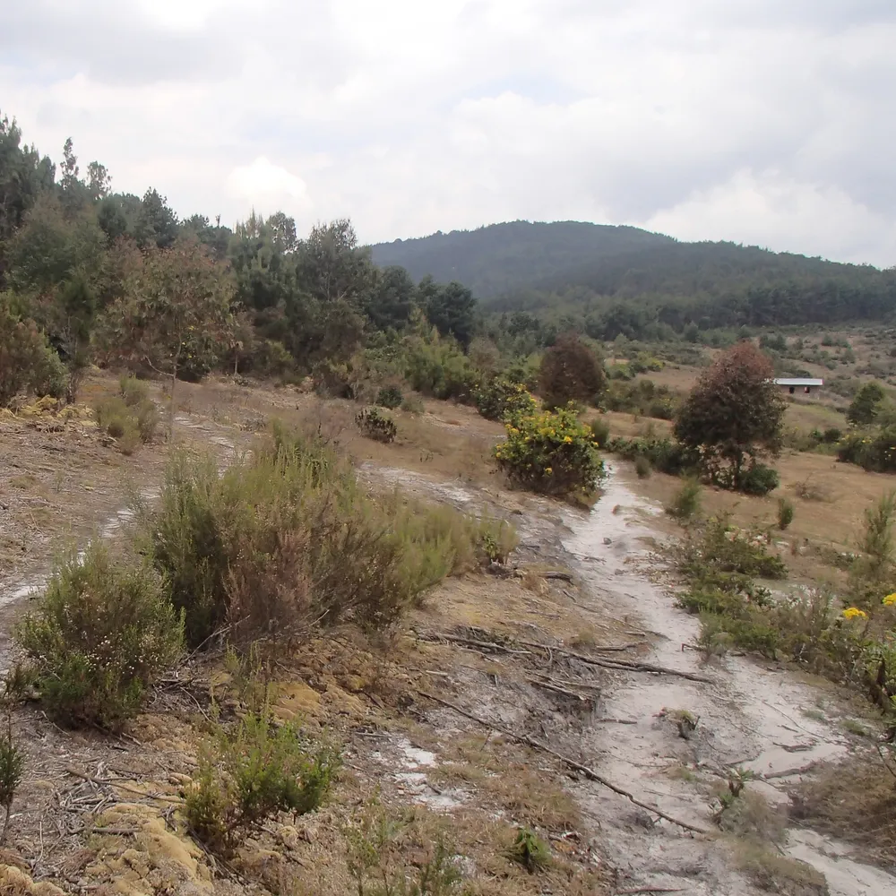 Mount Heha