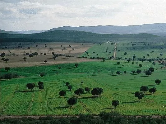 Cabañeros National Park