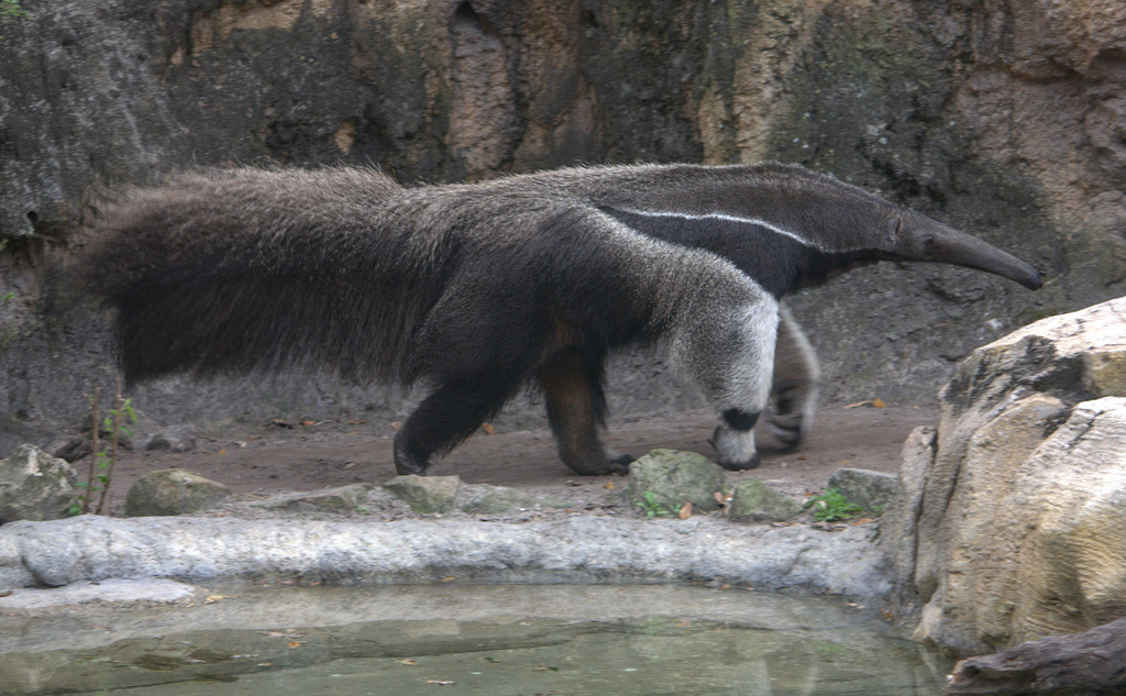 Los Katíos National Park