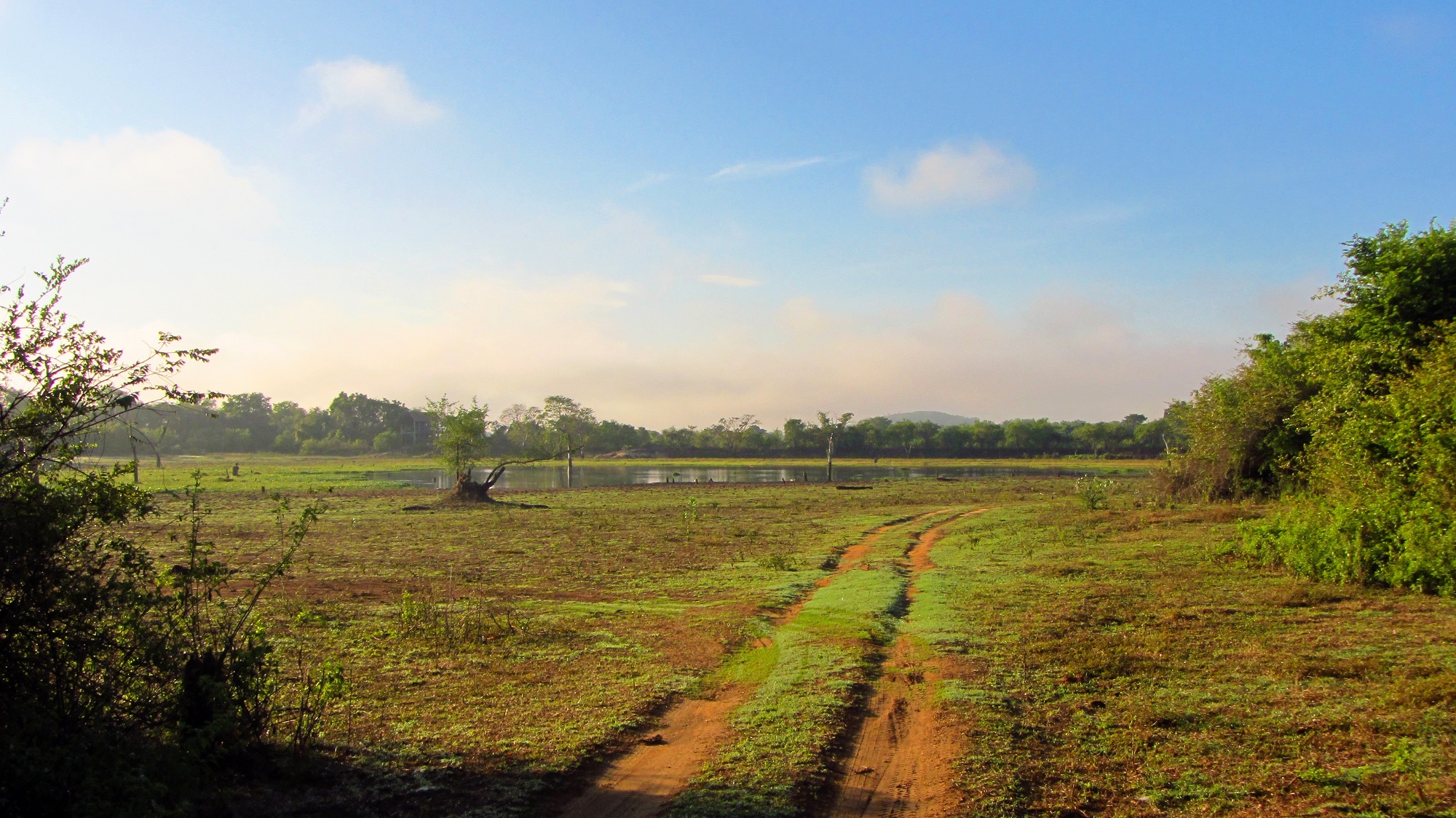 Wasgamuwa National Park