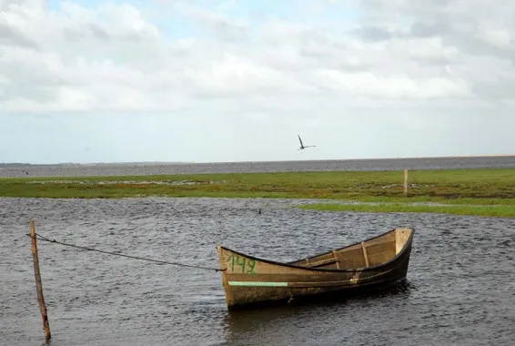 Lagoa do Peixe National Park