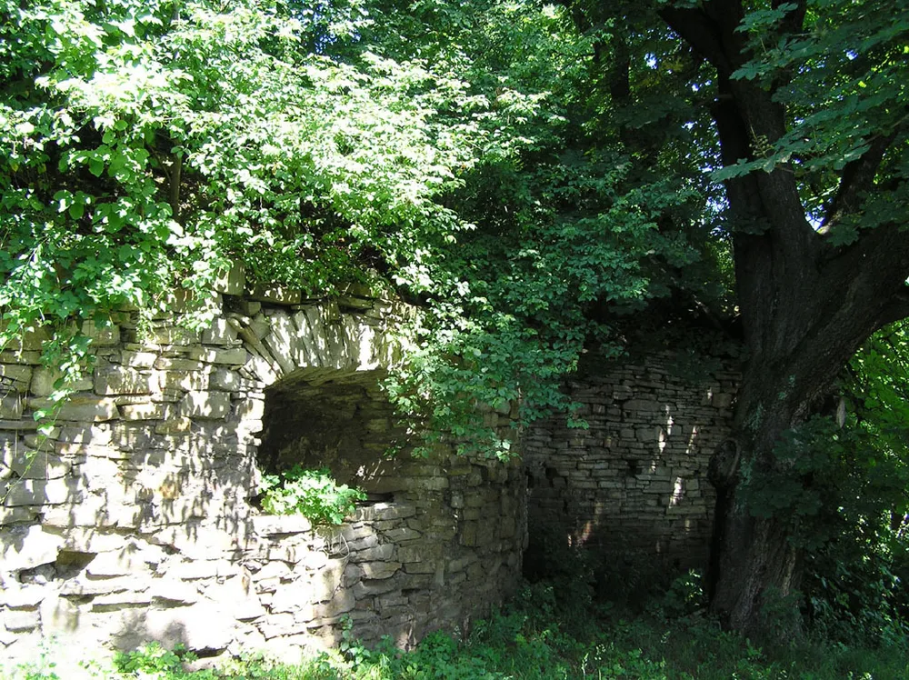 Yaniv Castle
