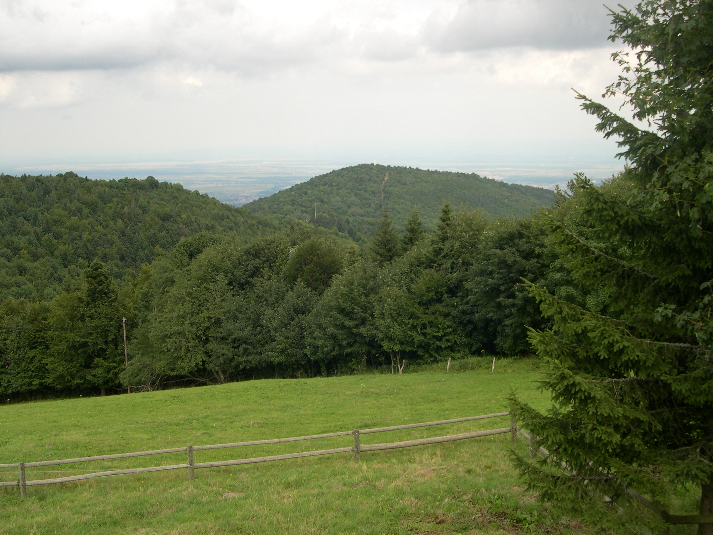 Hartmannswillerkopf