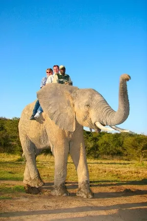 Addo, Eastern Cape, South Africa