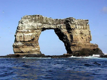 Darwin Island