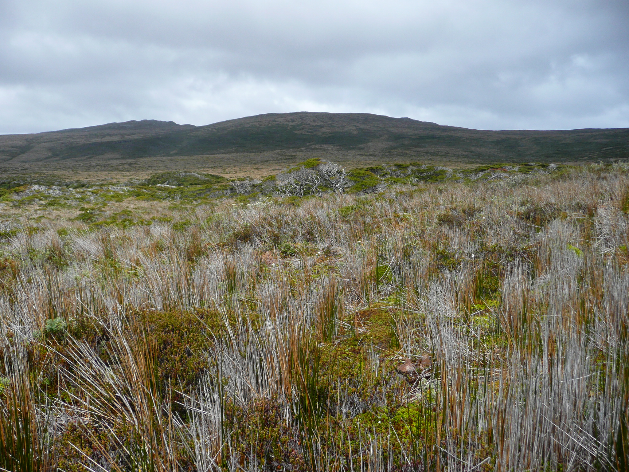 Herschel Island