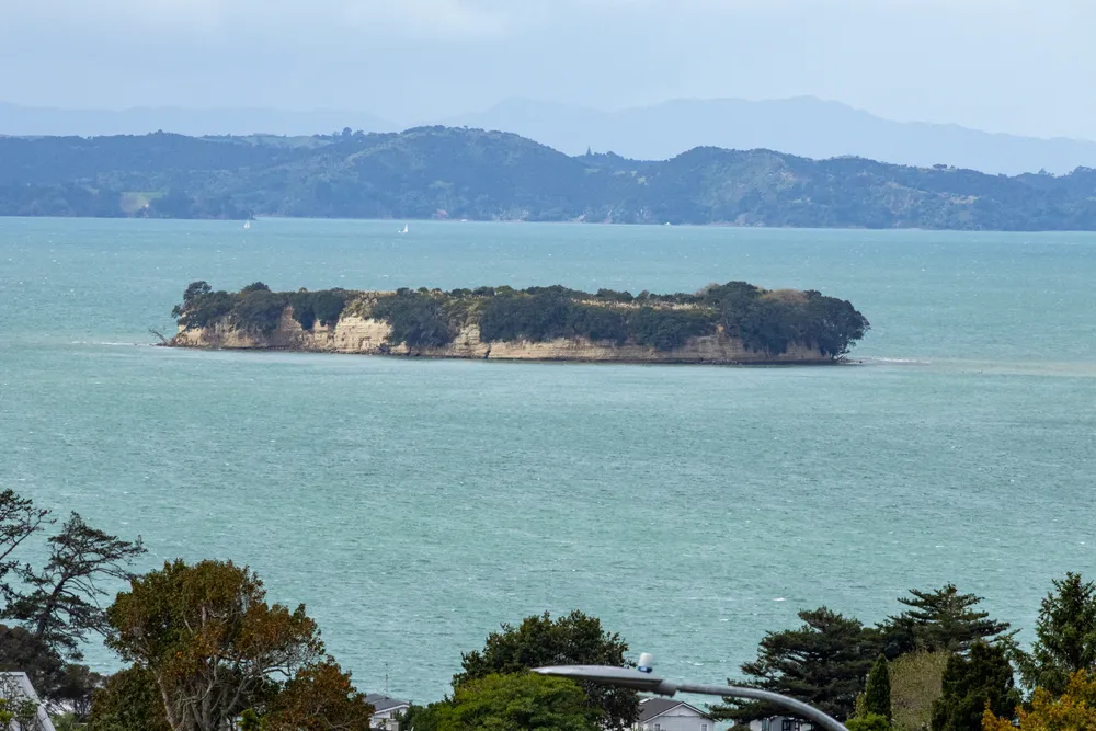 Motukaraka Island