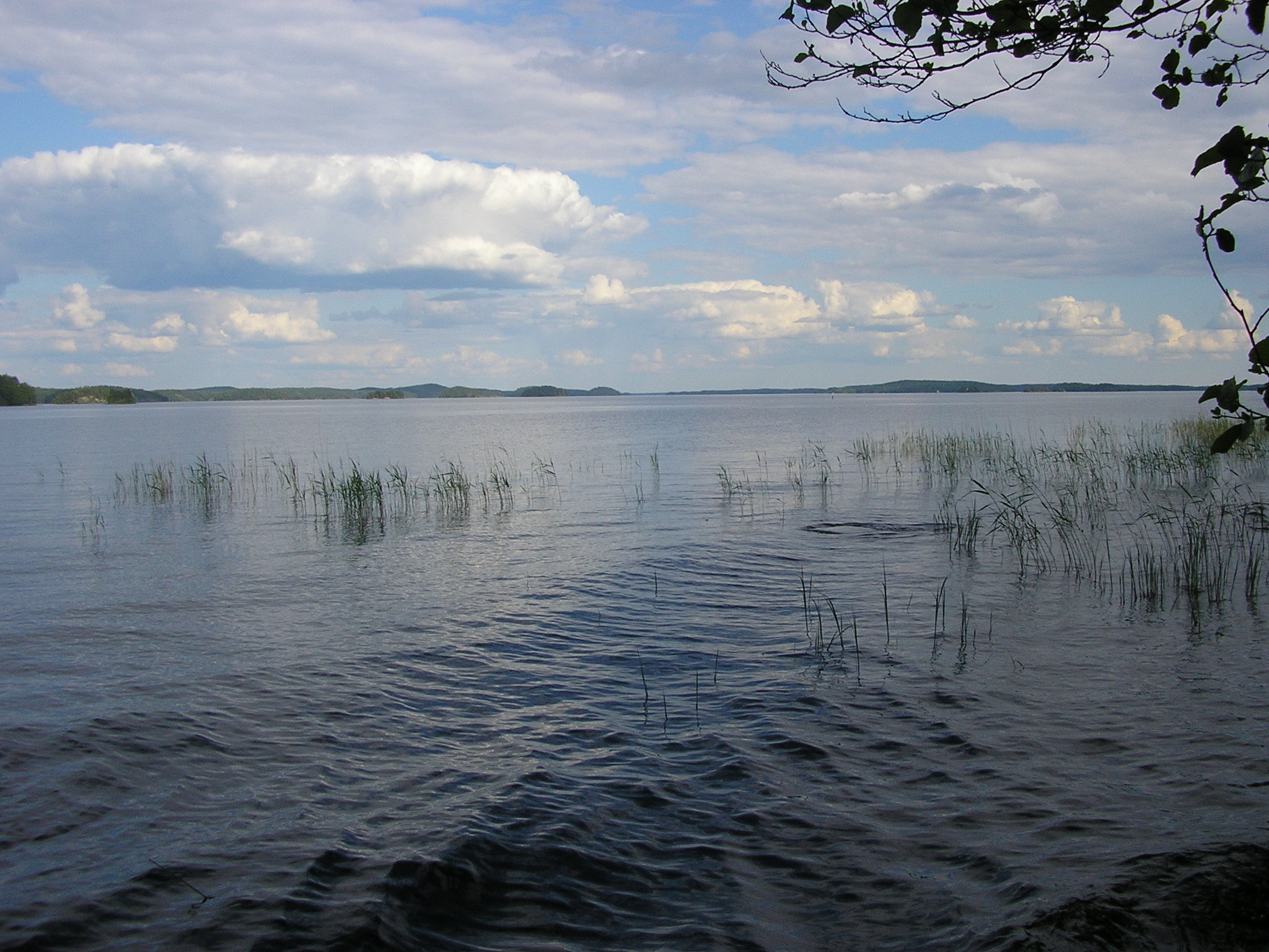 Haukivesi