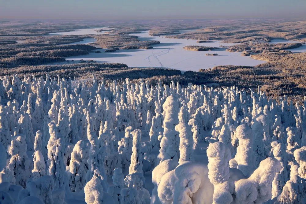Iijärvi