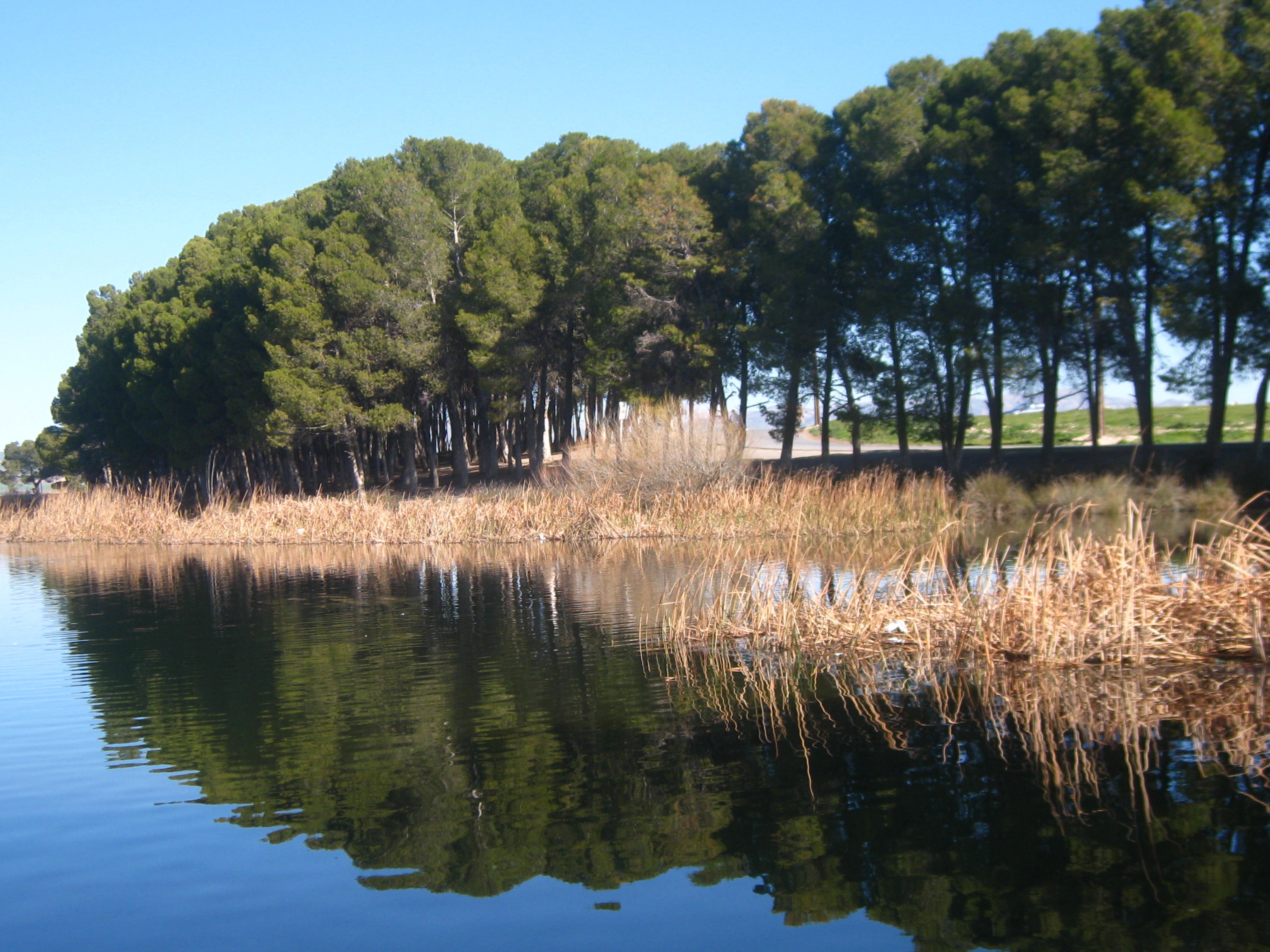 Lac de Sidi Mohamed Benali