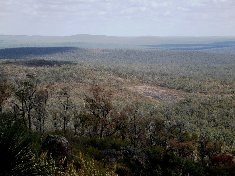Mount Dale