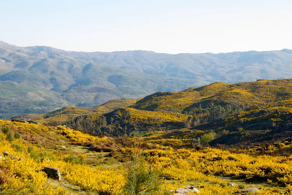 Peneda-Gerês National Park