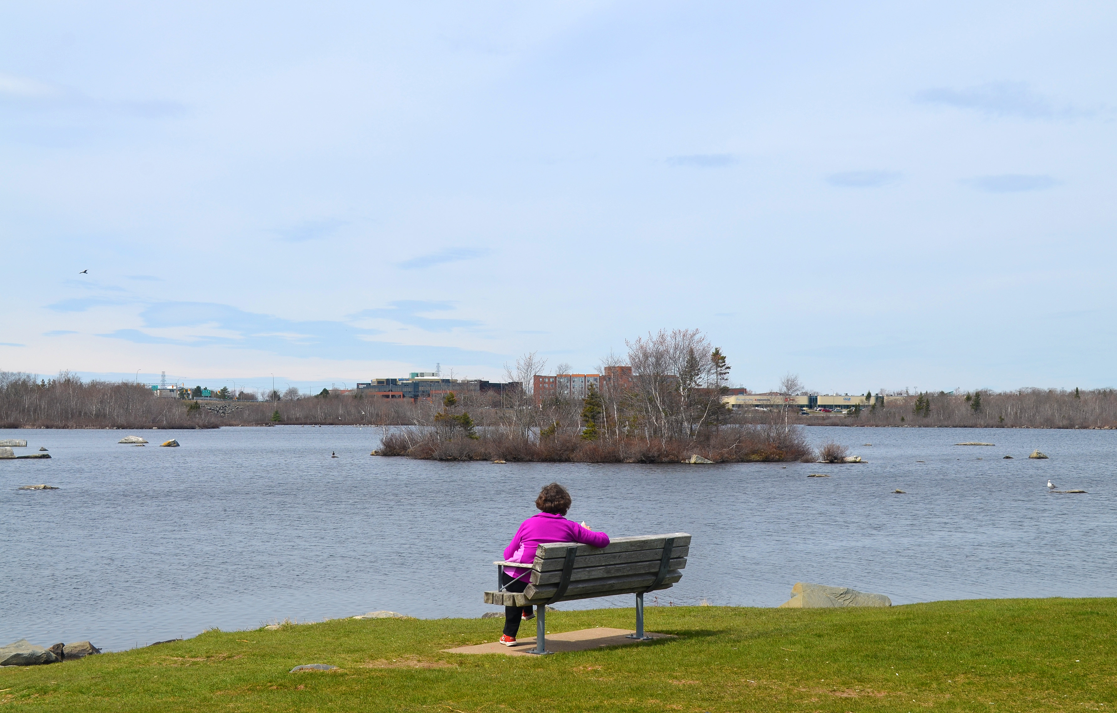 Albro Lake
