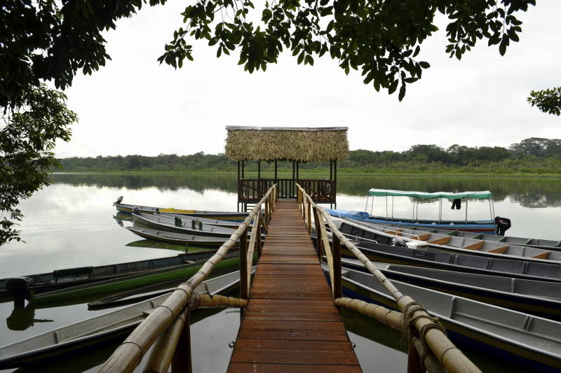 Limoncocha National Biological Reserve, Ecuador