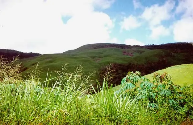 Tirgua National Park