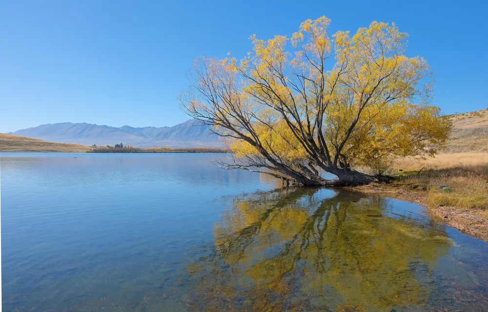 Lake McGregor