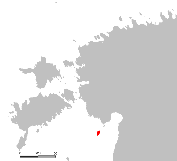 Kihnu