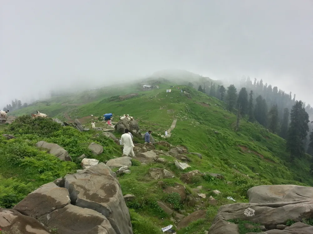 Toli Pir