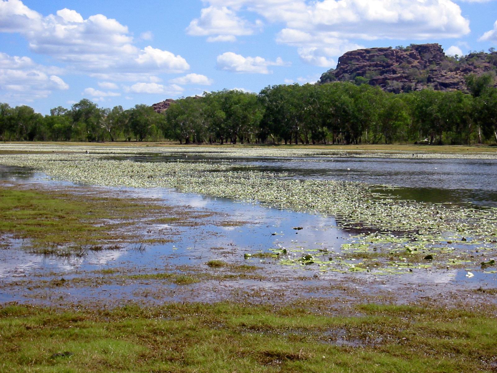 Anbangbang Billabong