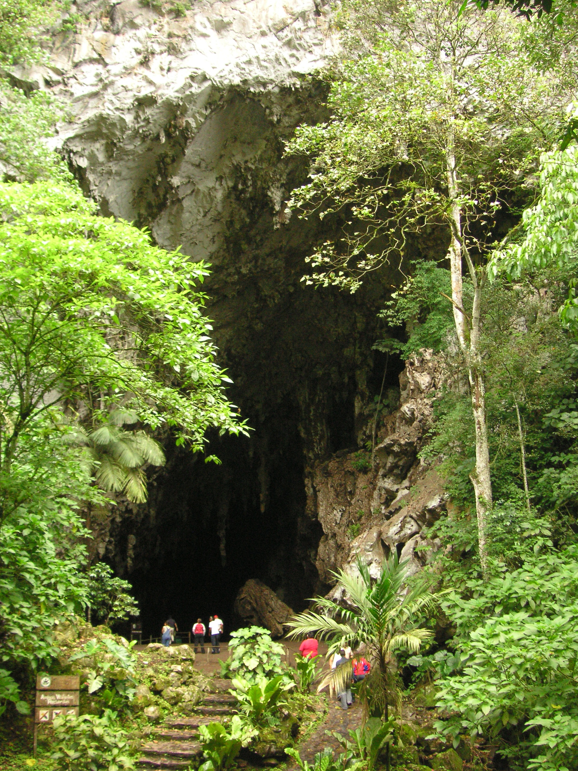 El Guacharo National Park