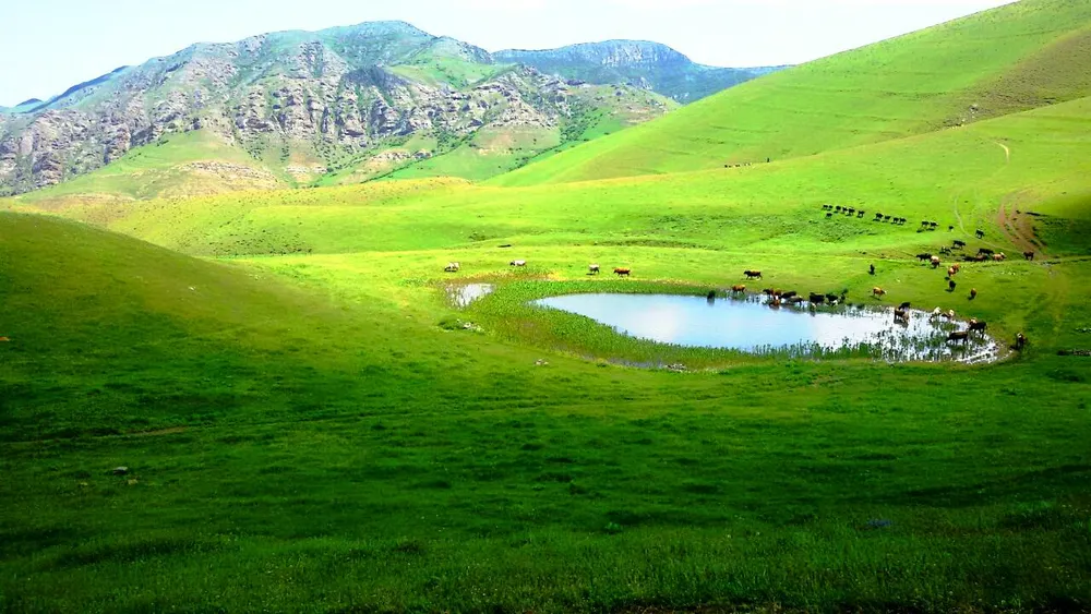 Qalghanlu