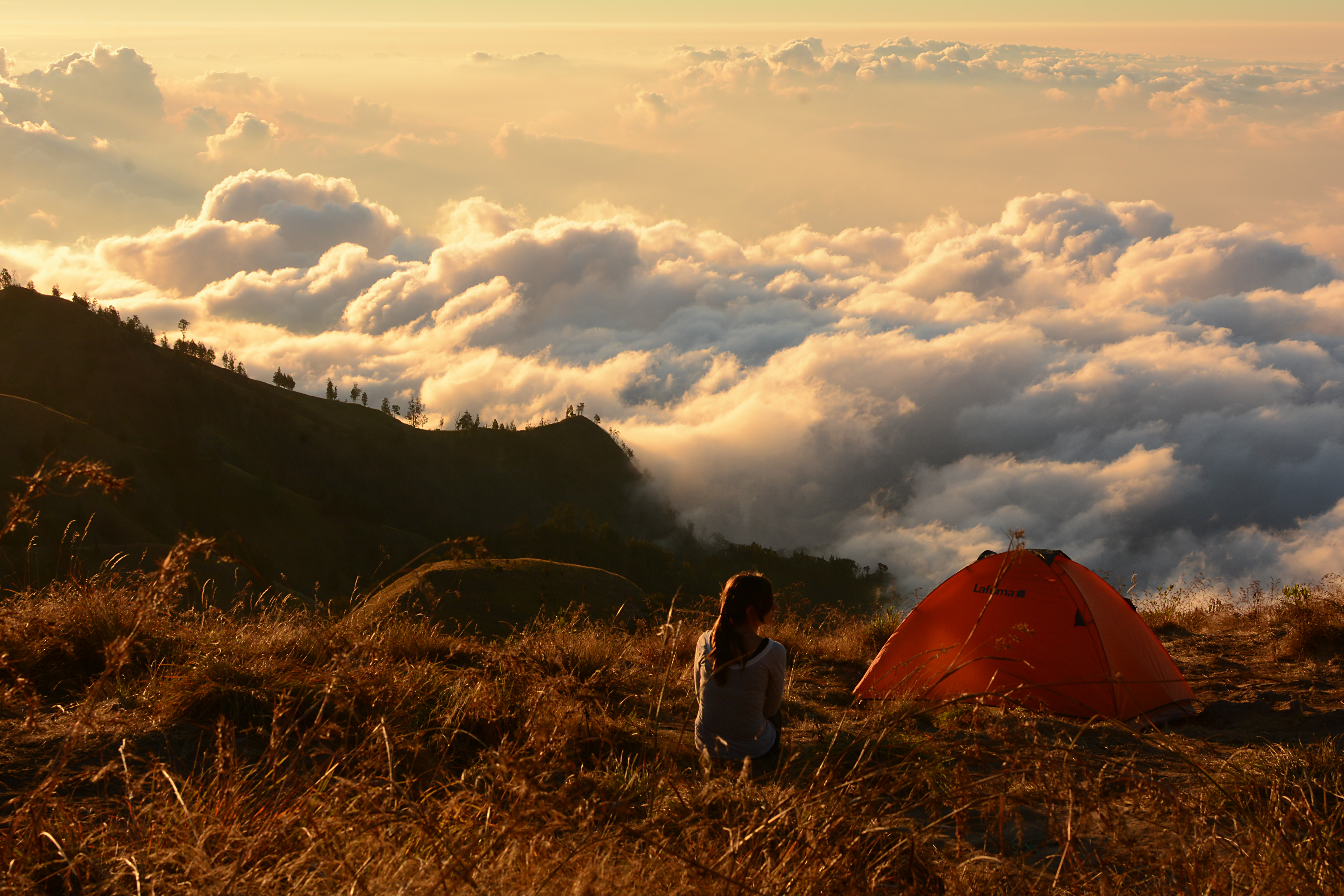 Lombok Island