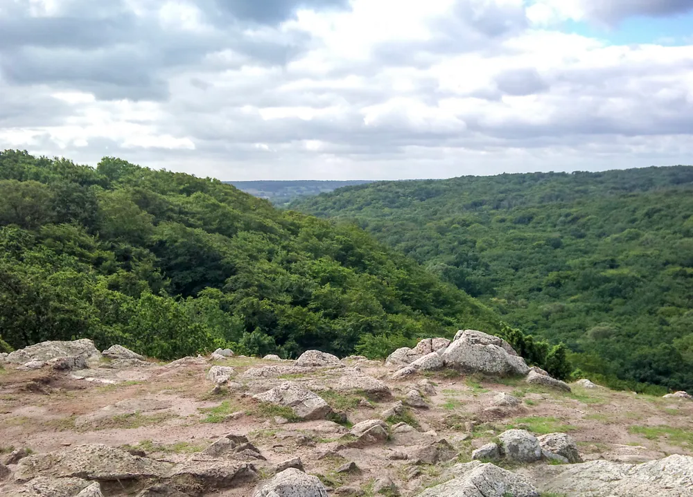 Stenshuvud National Park