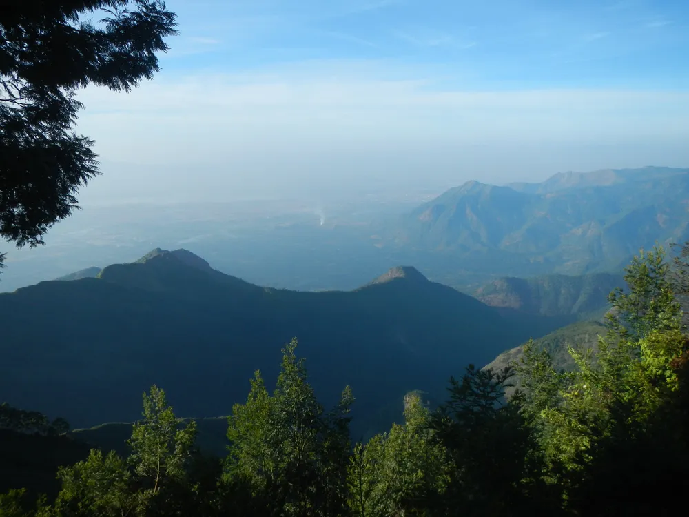 Palani Hills Wildlife Sanctuary and National Park