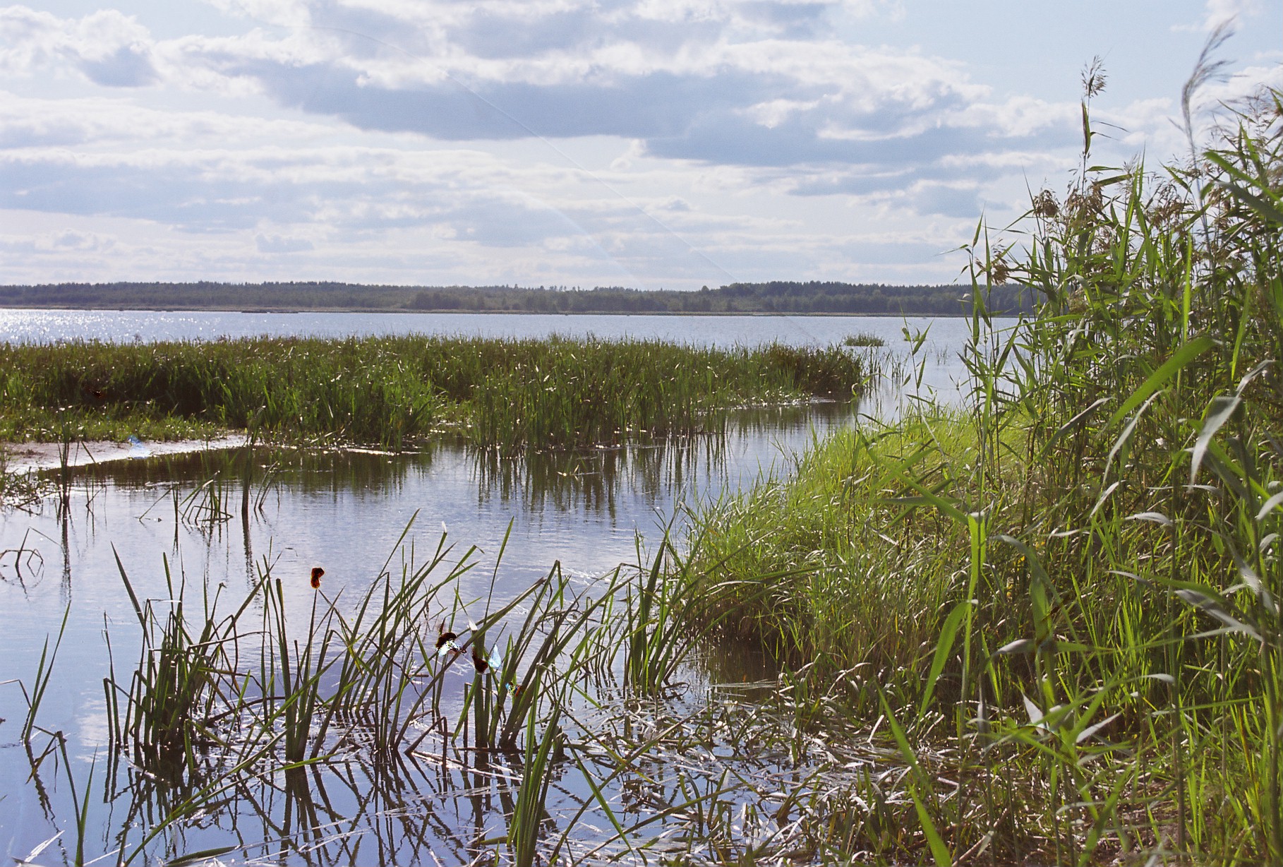 Võrtsjärv