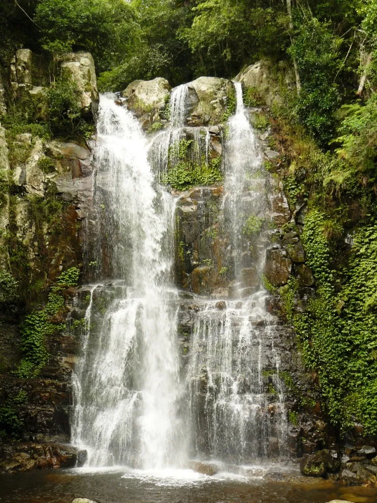 Budderoo National Park