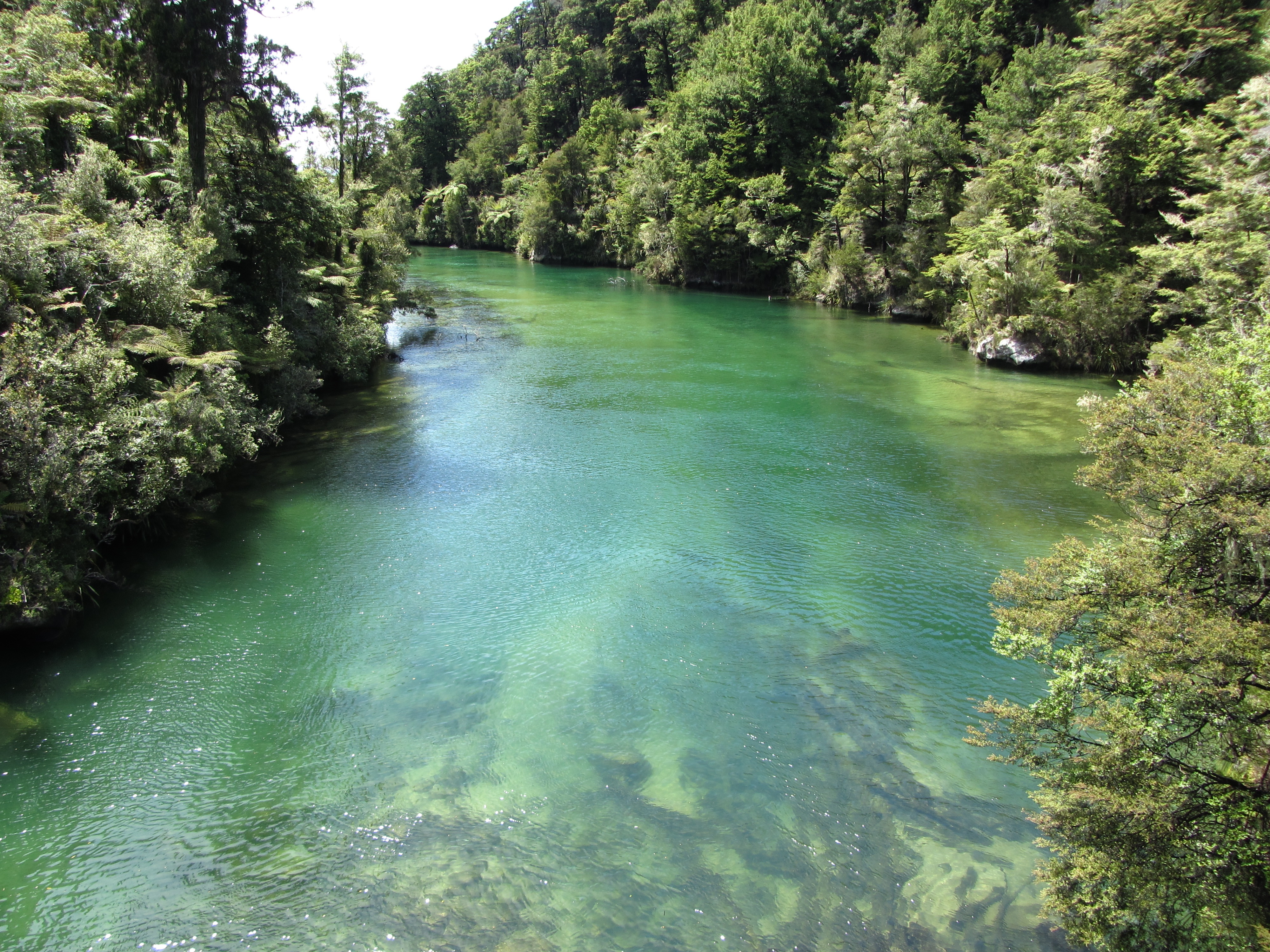 Abel Tasman National Park, New Zealand