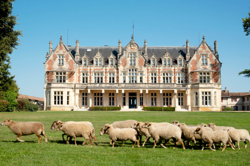 Château Cantenac-Brown