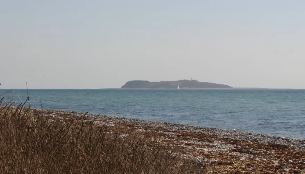 Hjelm