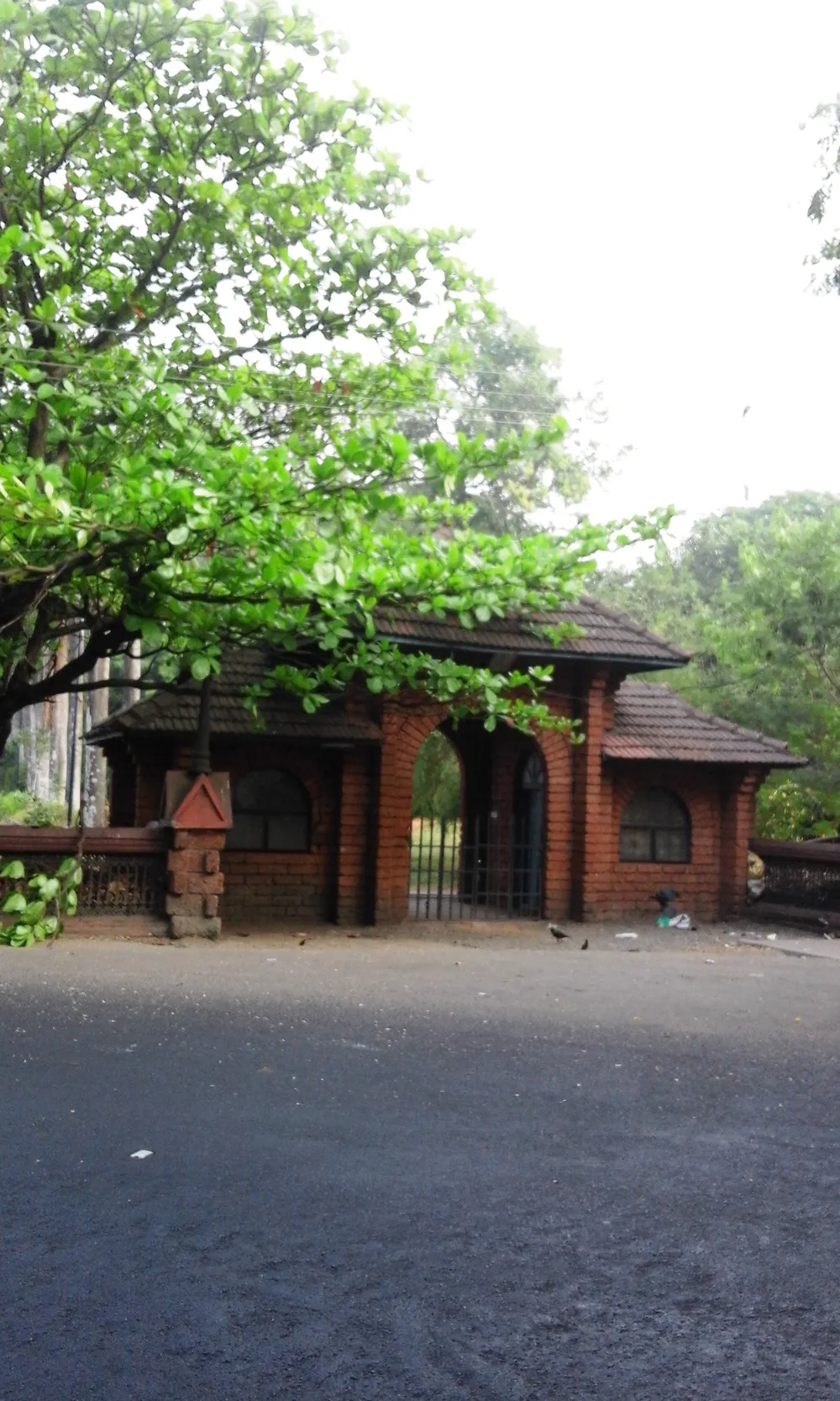 Mananchira