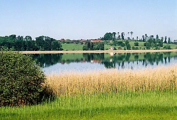 Pfäffikersee