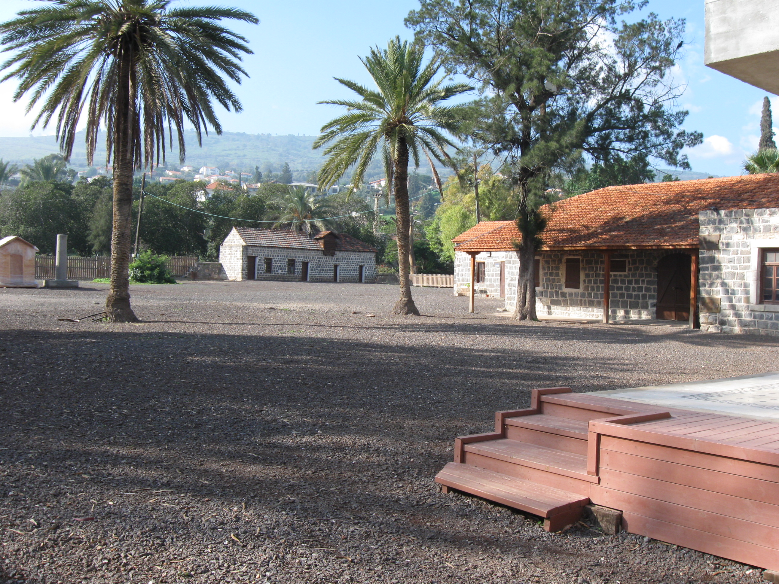 kinneret farm