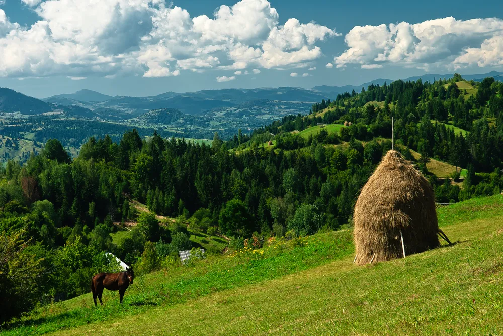 Rodna National Park