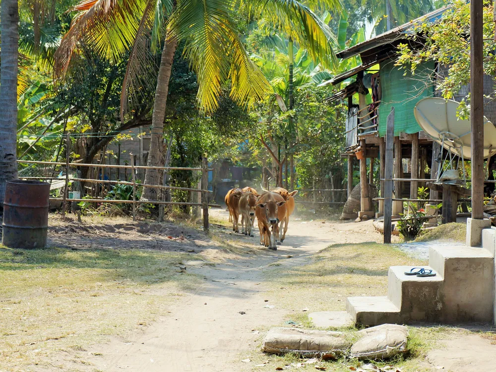 Khong Island, Laos