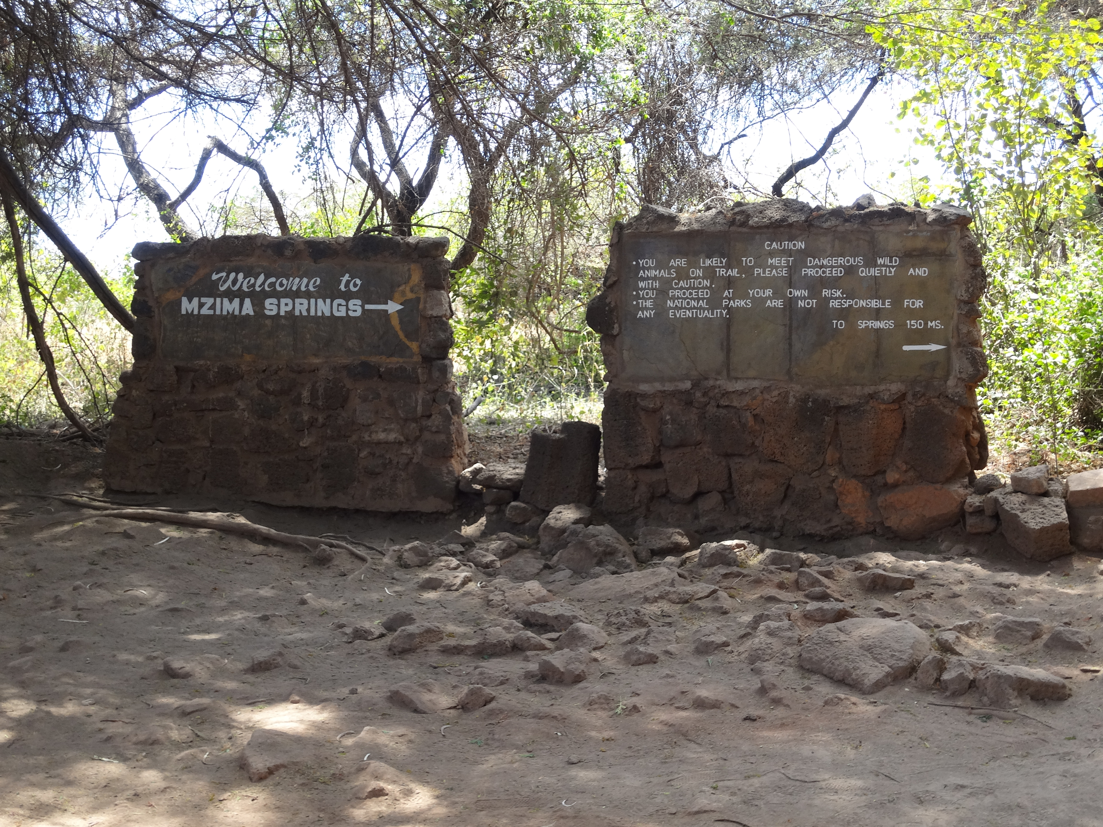 Mzima Springs