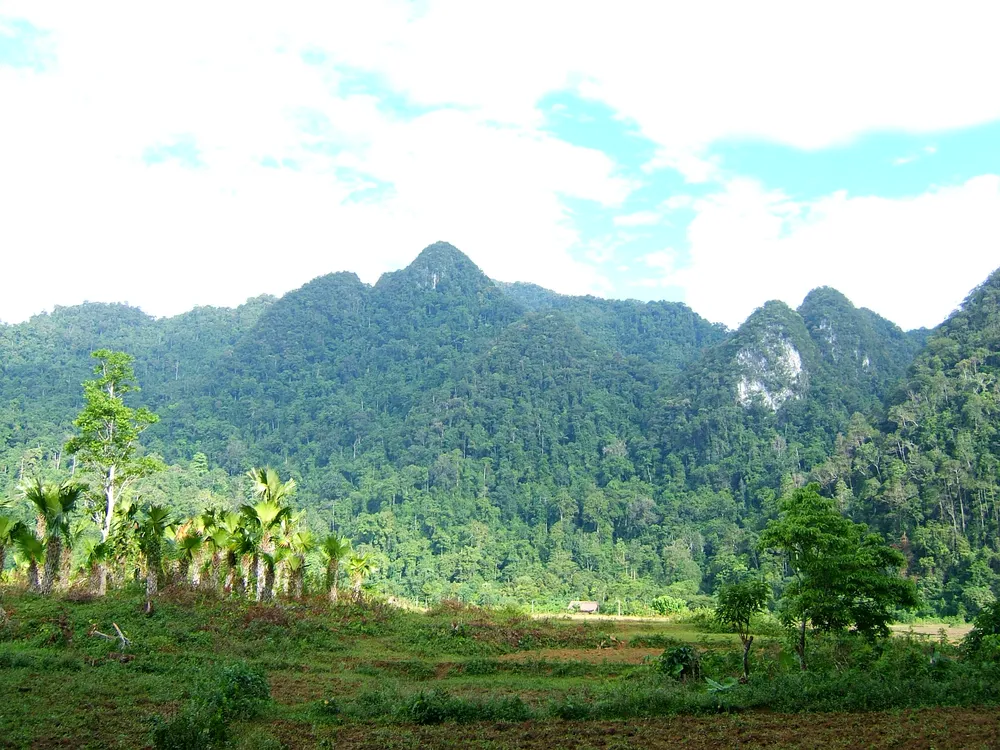 Xuan Son National Park