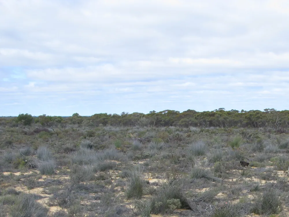 Boorabbin National Park