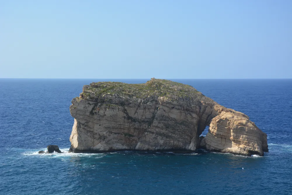 Fungus Rock