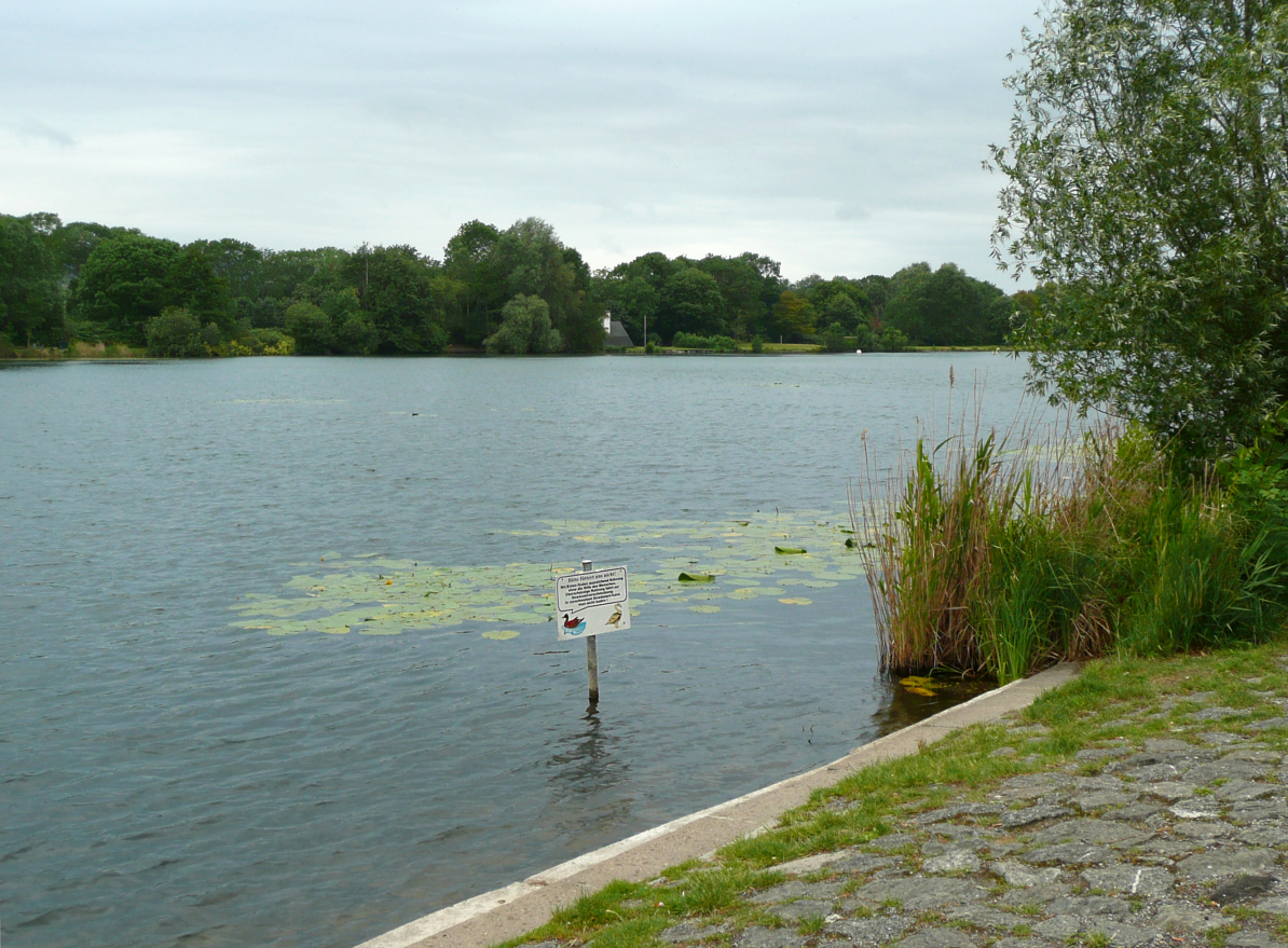 Hohnsensee