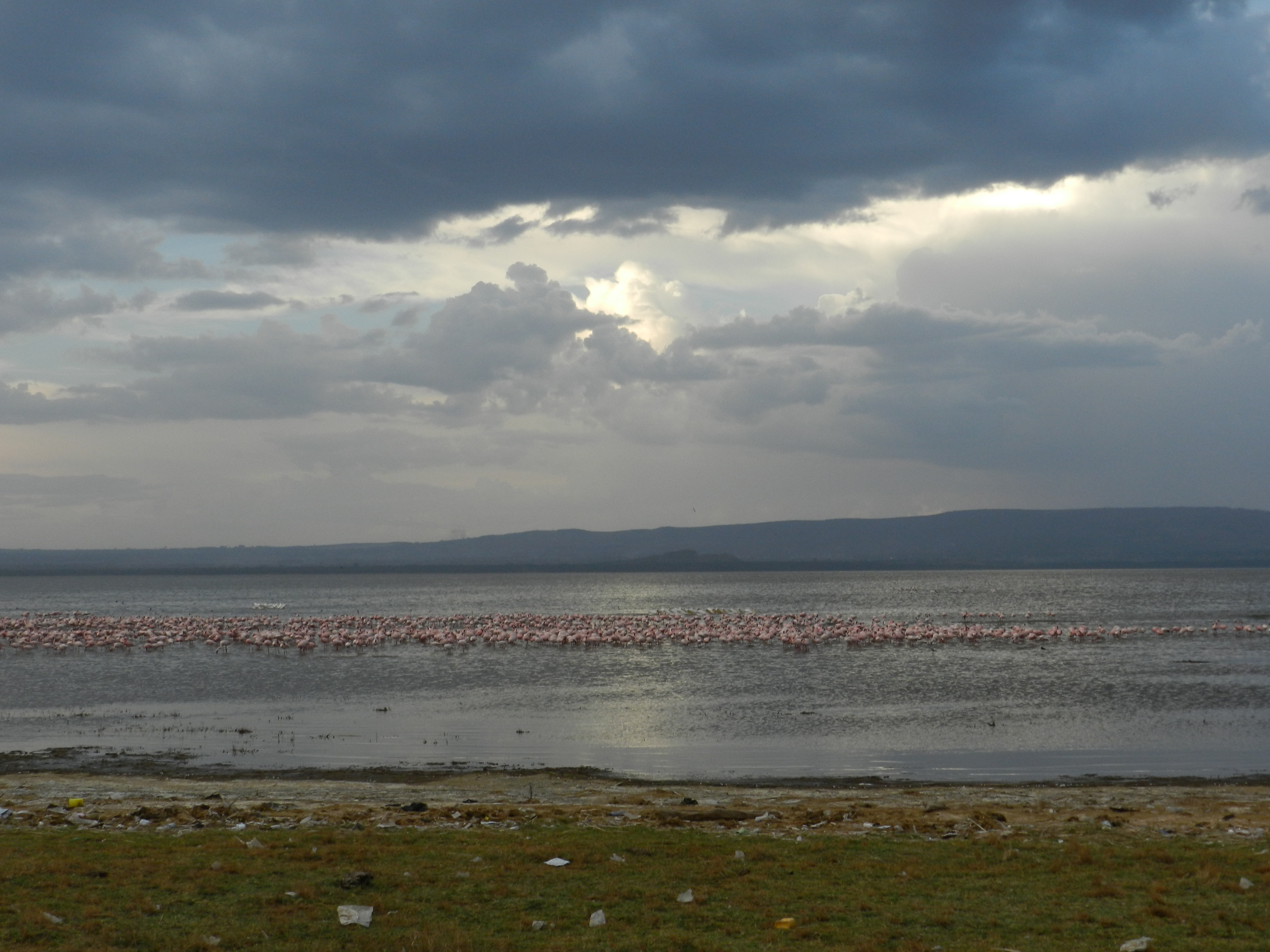 Lake Nakuru National Park, Kenya
