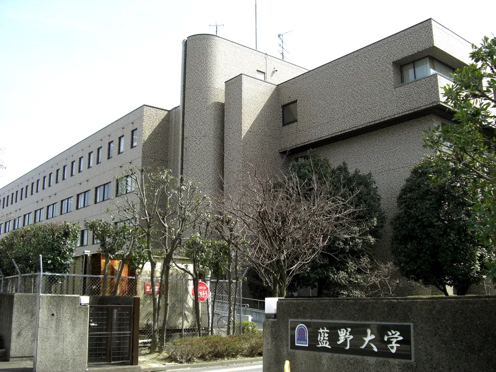 Aino University