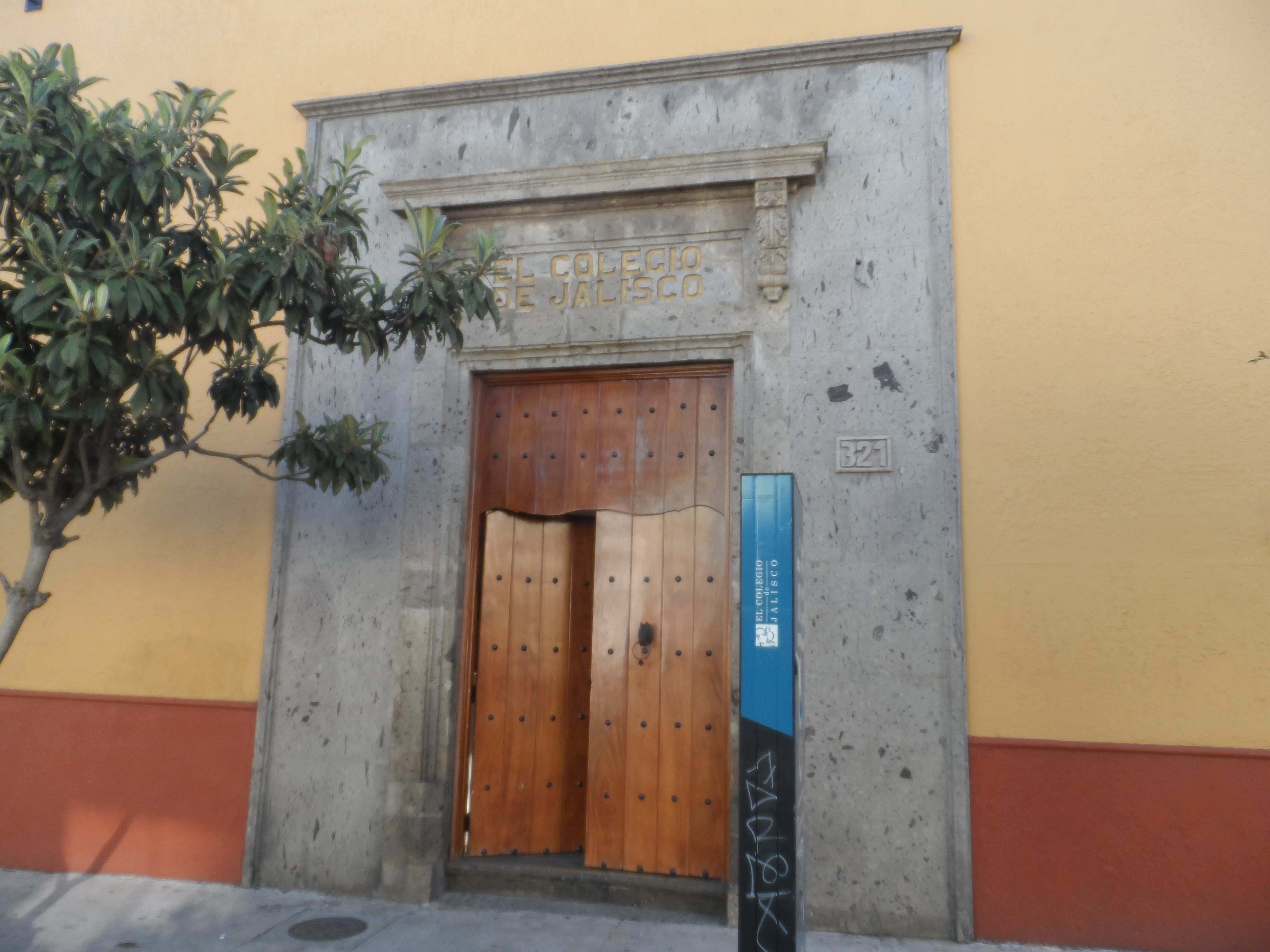 The College of Jalisco